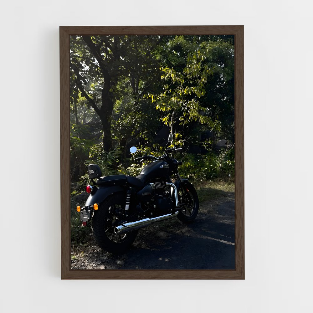 Poster Étoile Ardente Meteor 350 – affiche Royal Enfield (vue 5)